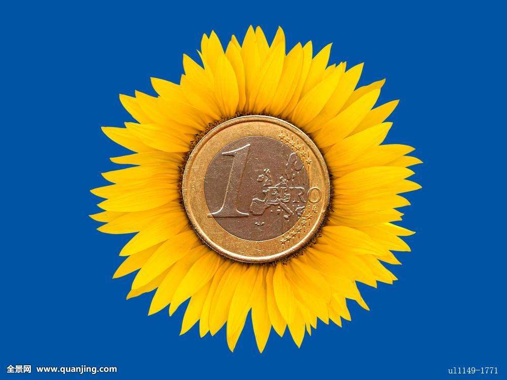 团尚科技：让车险公司业绩大增的原因在这里